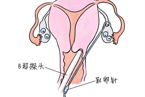 http://fuzhou.huochezhan.net/post/205.html|福州供卵助孕