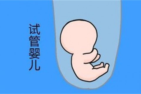 培养福州捐卵宝宝艺术细胞的小技巧