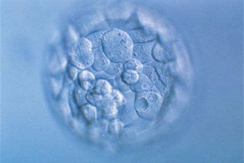 http://fuzhou.huochezhan.net/post/200.html|福州新闻中心